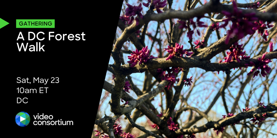 Post Image #1 from VC user Video Consortium