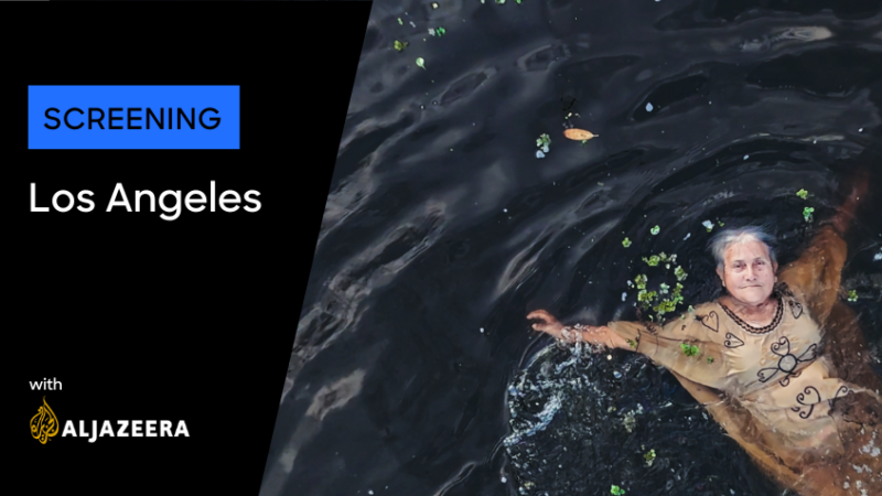 Amplifying Voices from the Global South: Los Angeles Image