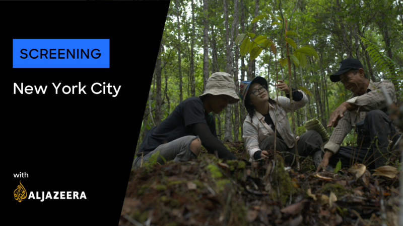 Amplifying Voices from the Global South: New York Image