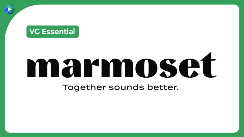 Marmoset Essential Image