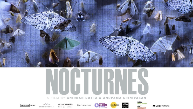 NOCTURNES | Kriti Film Club Delhi Premiere Image