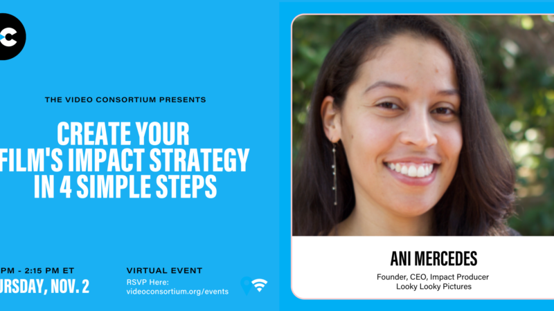 Create Your Film's Impact Strategy in 4 Simple Steps Image