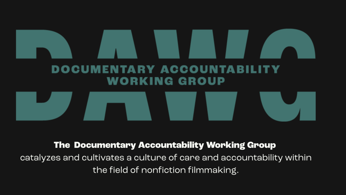 Documentary Accountability Working Group (DAWG)
