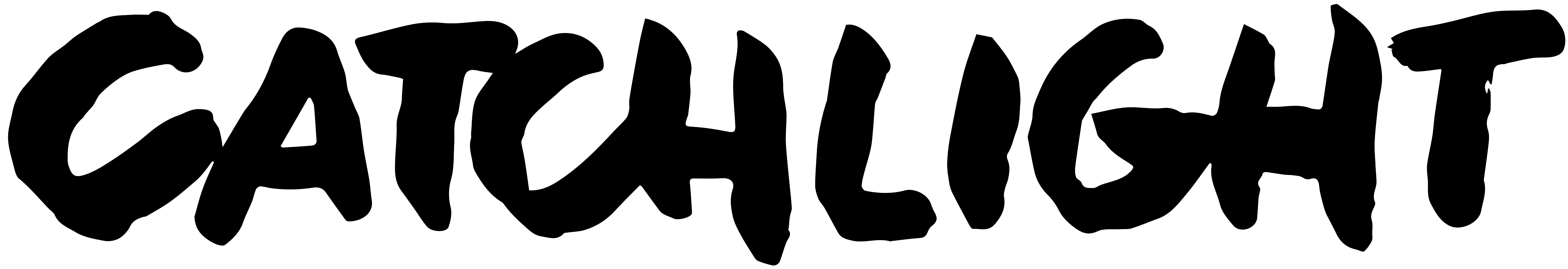 Show & Tell Logo