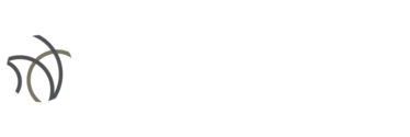 NC Local