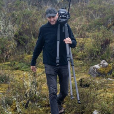 Sandro Kakabadze Photo