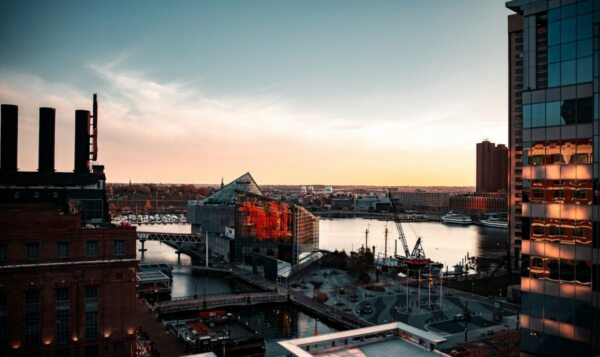 Baltimore Colin Lloyd