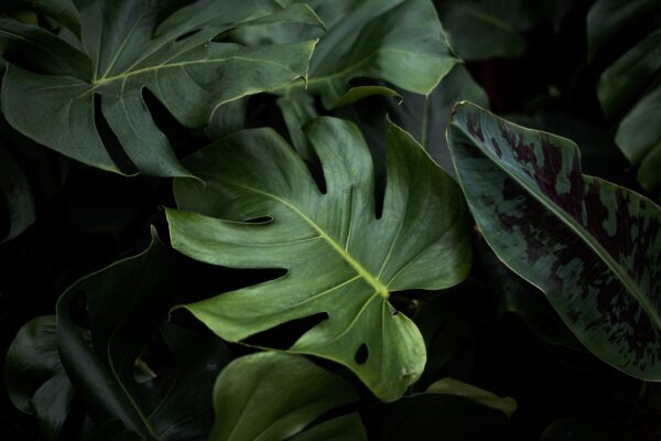 Malte michels s4w G Zw3 Uu Lk unsplash