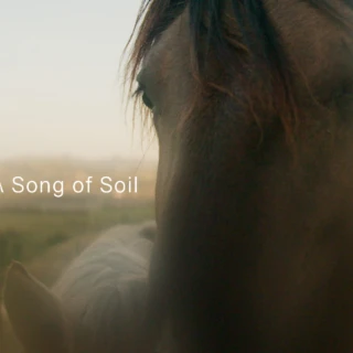 A SONG OF SOIL